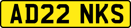 AD22NKS