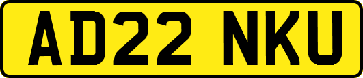 AD22NKU