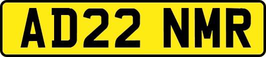 AD22NMR