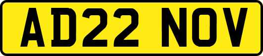 AD22NOV