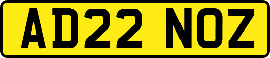 AD22NOZ