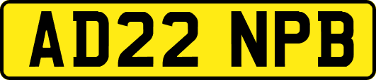 AD22NPB