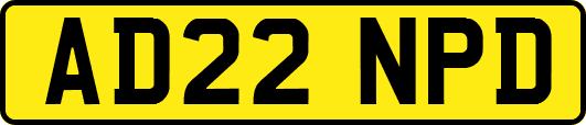 AD22NPD