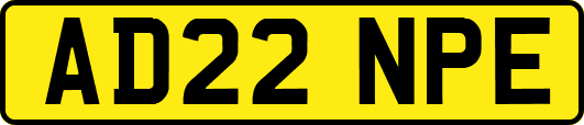 AD22NPE