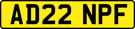 AD22NPF