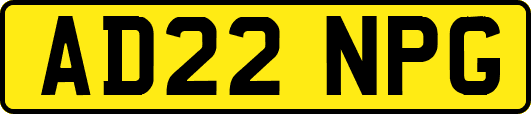 AD22NPG