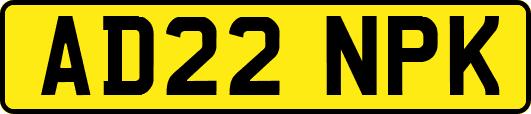 AD22NPK