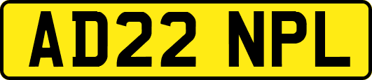 AD22NPL