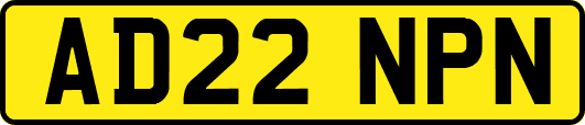 AD22NPN