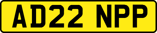 AD22NPP