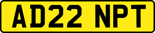AD22NPT