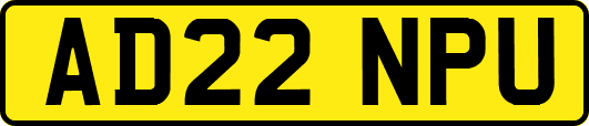 AD22NPU