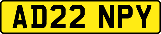 AD22NPY