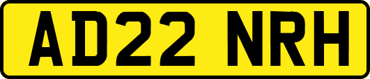 AD22NRH