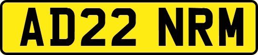 AD22NRM