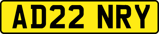 AD22NRY