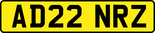 AD22NRZ
