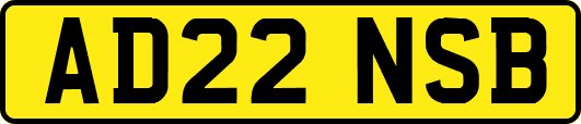 AD22NSB