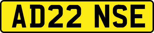 AD22NSE
