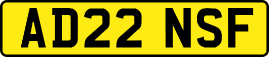 AD22NSF