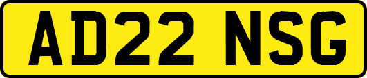 AD22NSG