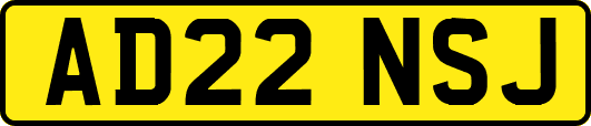 AD22NSJ
