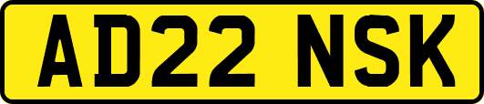 AD22NSK