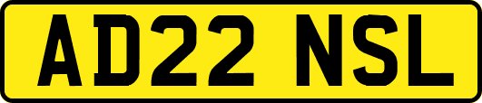 AD22NSL