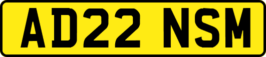 AD22NSM