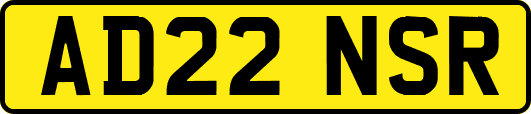 AD22NSR