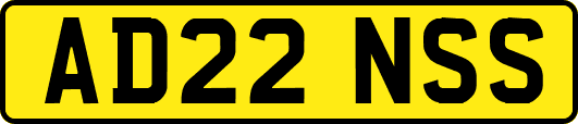 AD22NSS