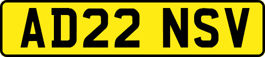 AD22NSV