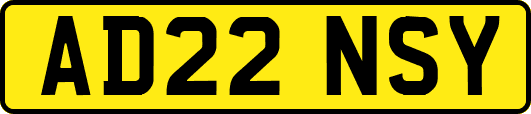 AD22NSY