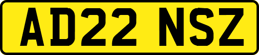 AD22NSZ