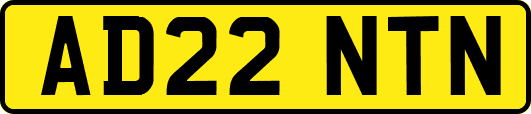 AD22NTN