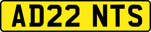 AD22NTS
