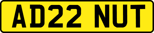 AD22NUT