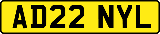 AD22NYL
