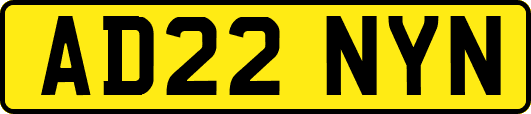 AD22NYN