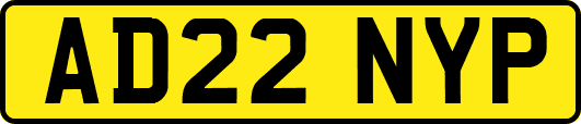 AD22NYP
