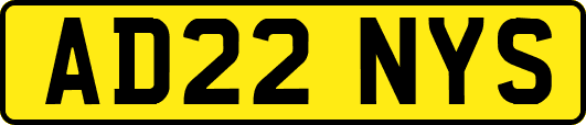 AD22NYS