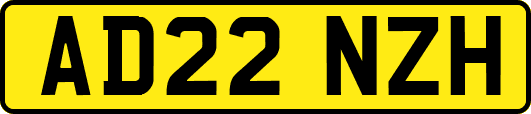 AD22NZH