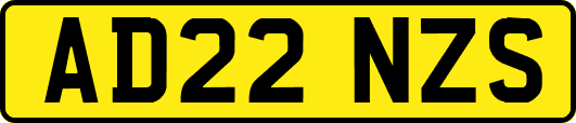 AD22NZS