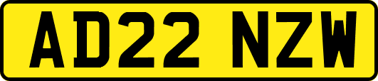 AD22NZW