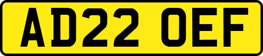 AD22OEF