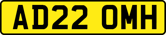 AD22OMH
