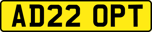 AD22OPT