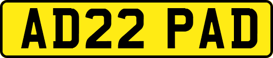 AD22PAD