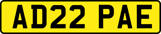 AD22PAE