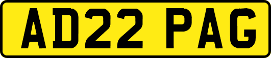 AD22PAG
